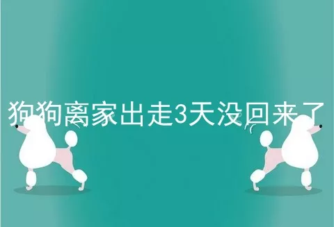 狗狗离家出走3天没回来了