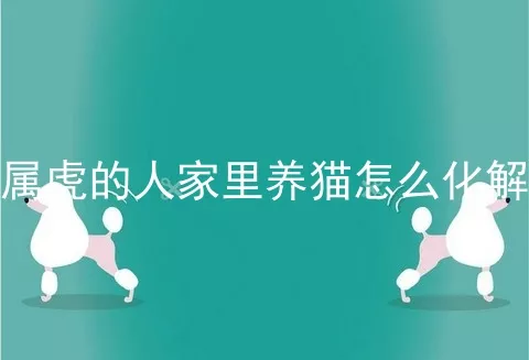 属虎的人家里养猫怎么化解