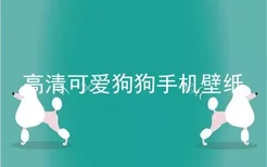 高清可爱狗狗手机壁纸