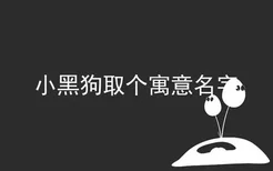 小黑狗取个寓意名字