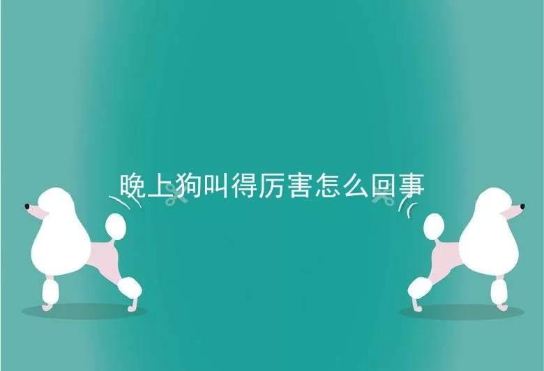 晚上狗叫得厉害怎么回事