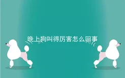 晚上狗叫得厉害怎么回事