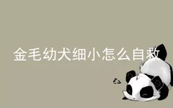 金毛幼犬细小怎么自救