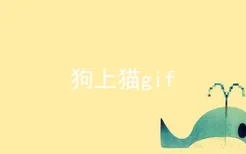 狗上猫gif