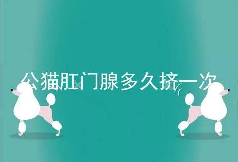 公猫肛门腺多久挤一次