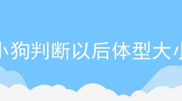 小狗判断以后体型大小