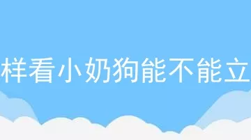 怎样看小奶狗能不能立耳