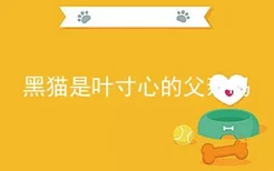 黑猫是叶寸心的父亲吗