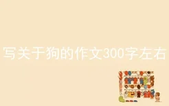 写关于狗的作文300字左右