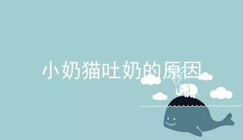 小奶猫吐奶的原因