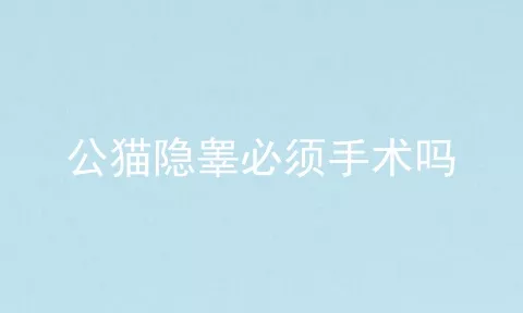 公猫隐睾必须手术吗