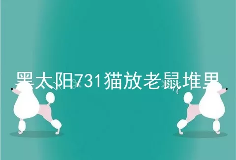 黑太阳731猫放老鼠堆里