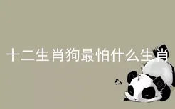 十二生肖狗最怕什么生肖