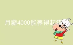 月薪4000能养得起猫吗