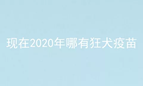 现在2020年哪有狂犬疫苗