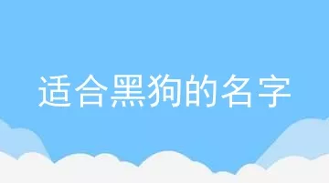 适合黑狗的名字