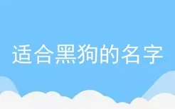 适合黑狗的名字