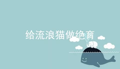 给流浪猫做绝育