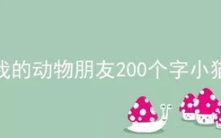 我的动物朋友200个字小猫