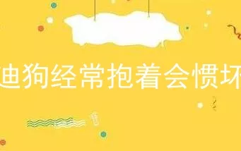 泰迪狗经常抱着会惯坏吗