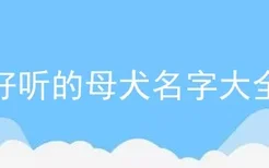 好听的母犬名字大全