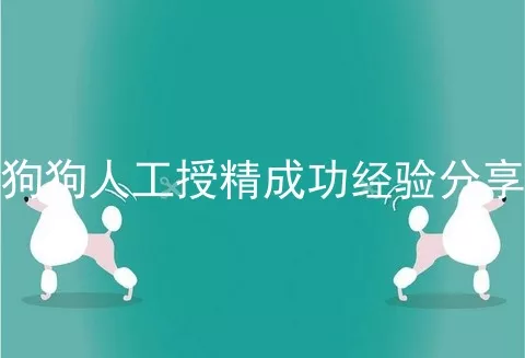 狗狗人工授精成功经验分享