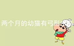 两个月的幼猫有弓形虫吗