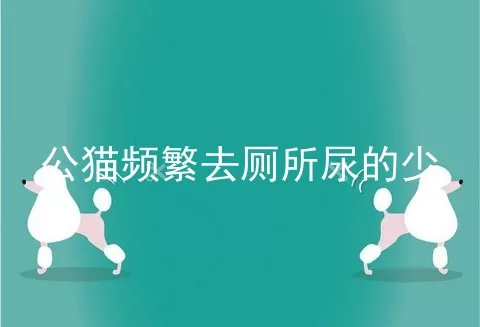 公猫频繁去厕所尿的少