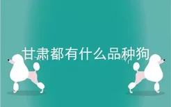 甘肃都有什么品种狗