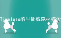 Timeless落尘挪威森林猫舍