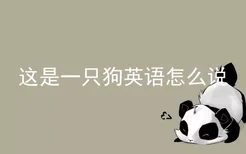 这是一只狗英语怎么说