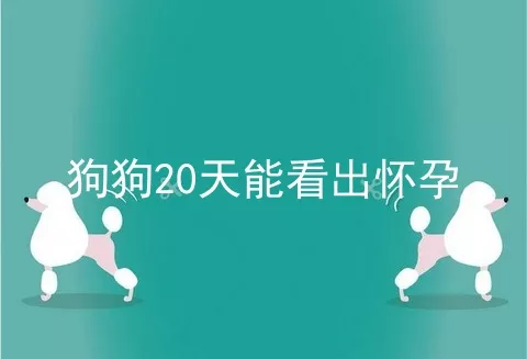 狗狗20天能看出怀孕