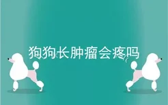 狗狗长肿瘤会疼吗