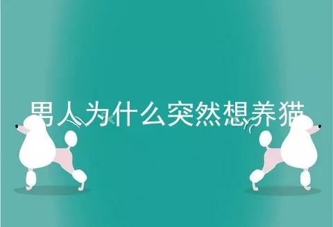 男人为什么突然想养猫