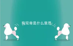 狗双脊是什么意思