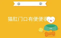 猫肛门口有便便很硬