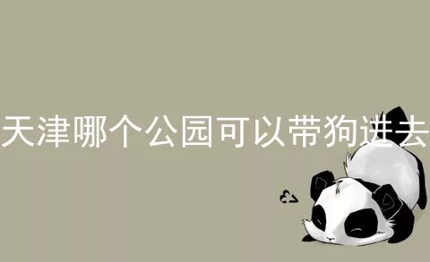 天津哪个公园可以带狗进去