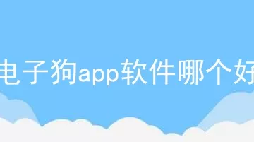 电子狗app软件哪个好