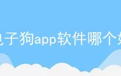 电子狗app软件哪个好