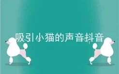 吸引小猫的声音抖音