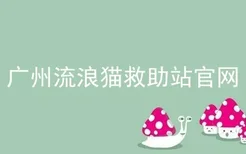 广州流浪猫救助站官网