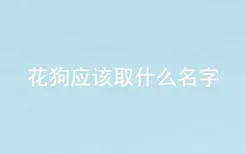 花狗应该取什么名字