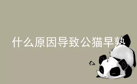 什么原因导致公猫早熟