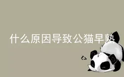 什么原因导致公猫早熟