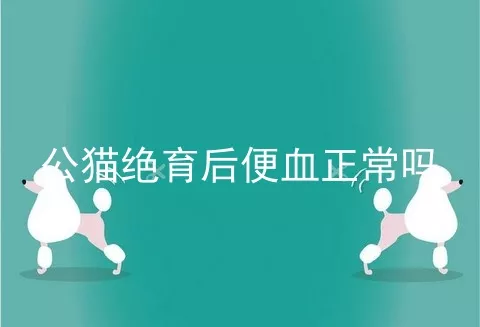 公猫绝育后便血正常吗