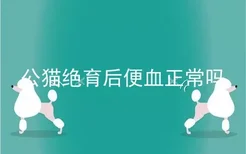 公猫绝育后便血正常吗