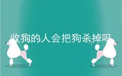 收狗的人会把狗杀掉吗