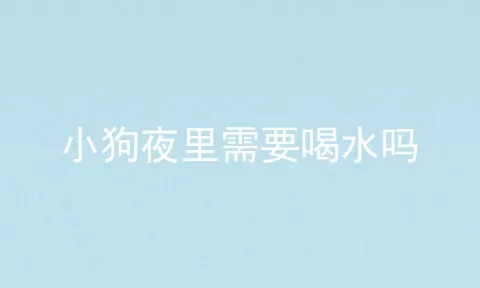 小狗夜里需要喝水吗