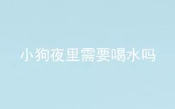 小狗夜里需要喝水吗