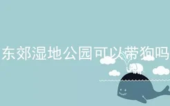 东郊湿地公园可以带狗吗